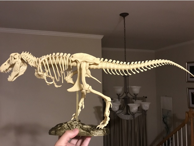 T Rex Skeleton Fixed And Printable By Icefox1983 Thingiverse - roblox t rex model