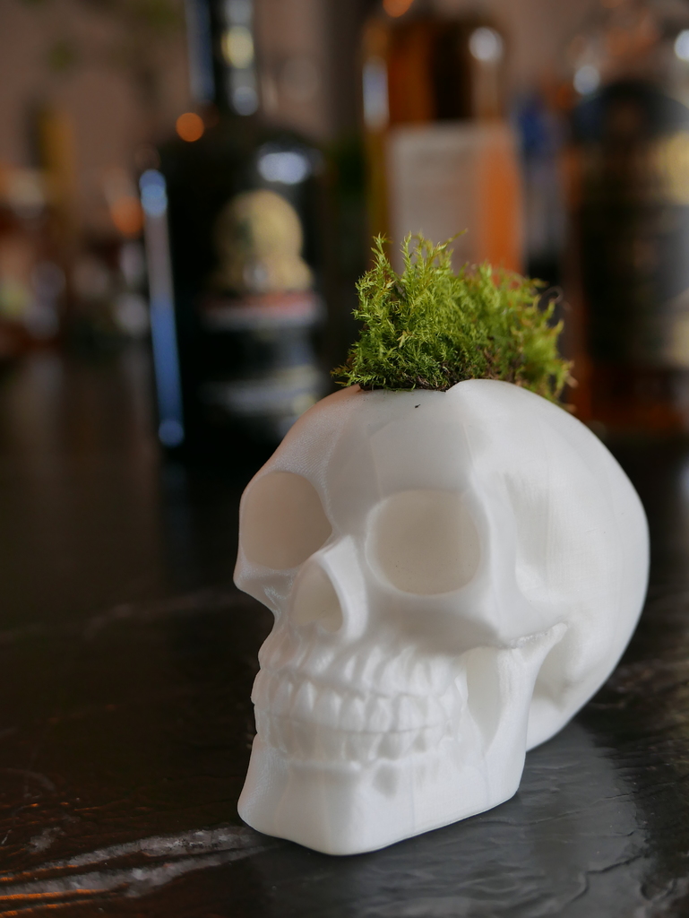 Skull with Moss Mohawk Hairstyle