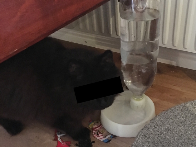 PET bottle water bowl