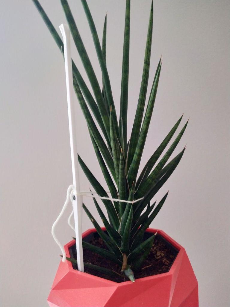 Stackable plant support stick