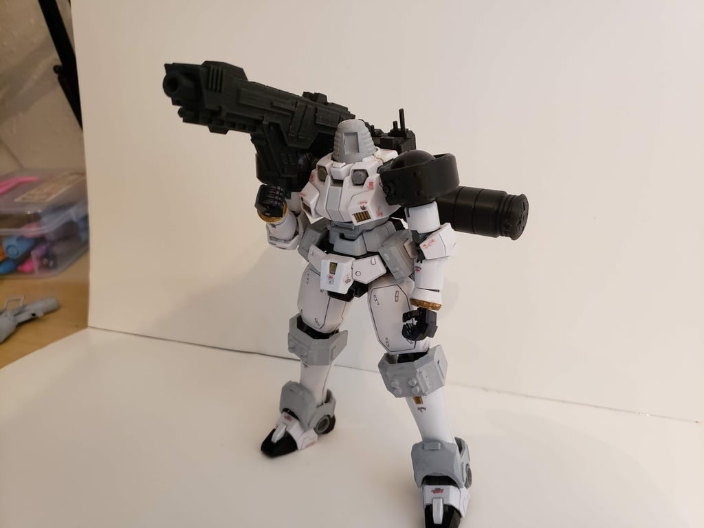 Gundam MG 1/100 Leo Space type conversion kit