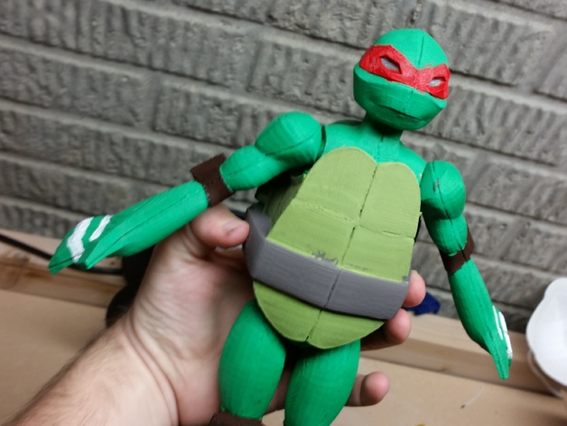 Ninja Turtle Action Figure