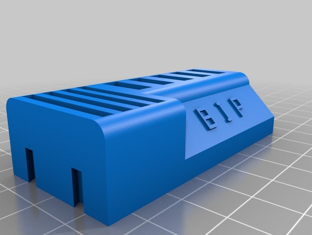 BIP USB stick and SD card holder