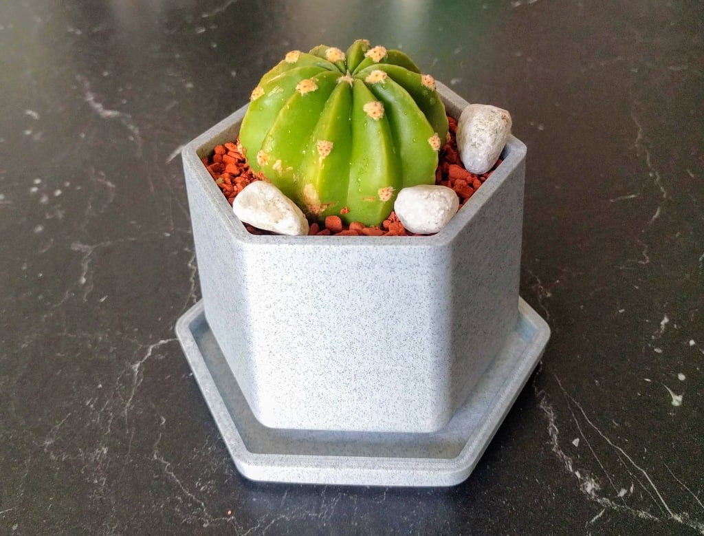 Small Flower Pot with Drip Tray