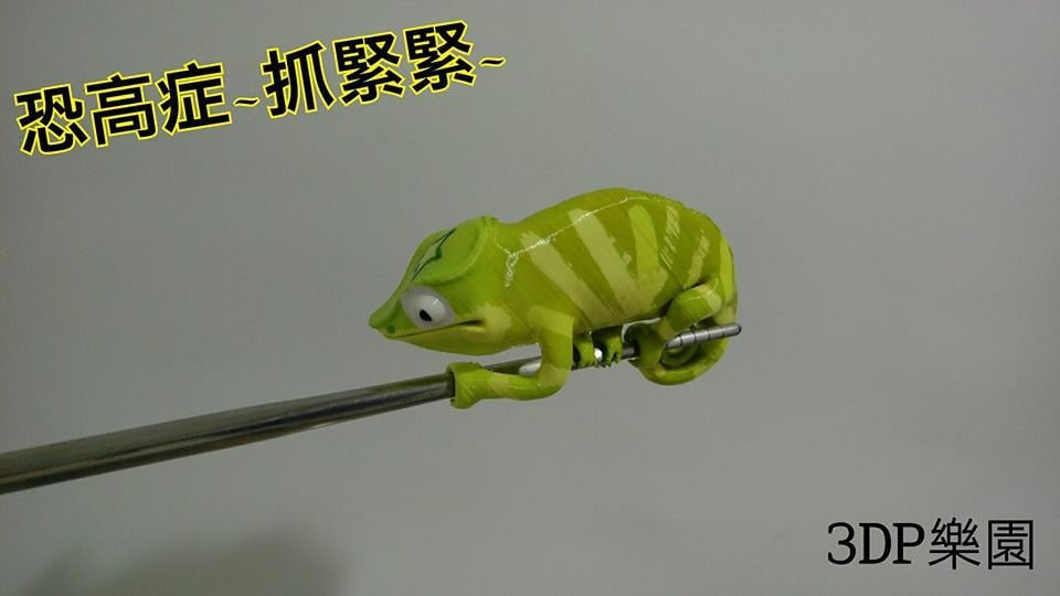 Chameleon (Nylon filament)