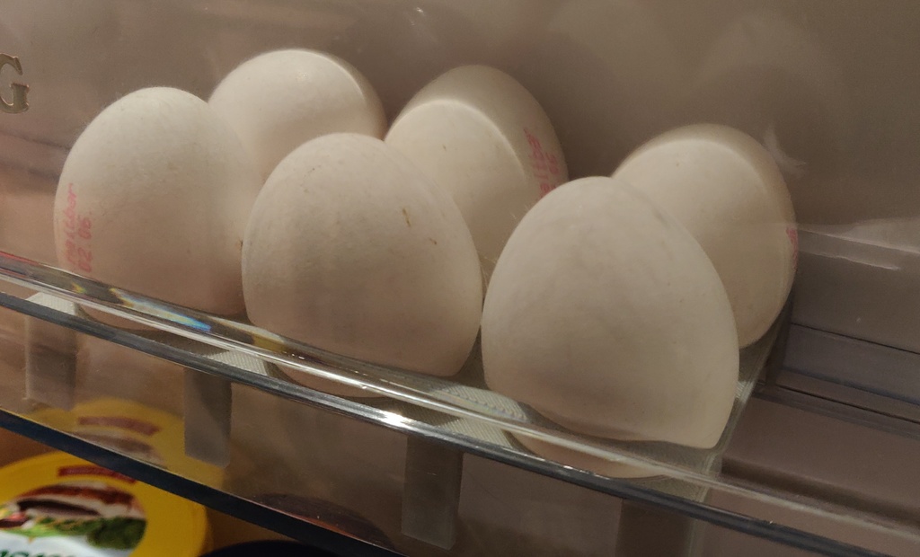 egg compartment for fridge