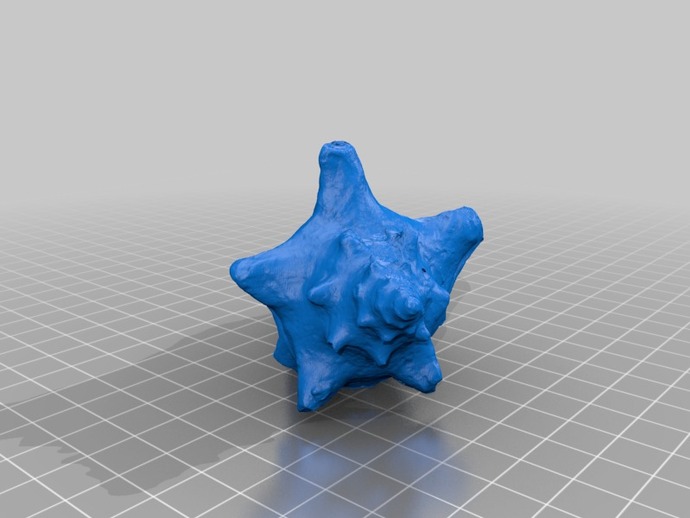 3D Scan of a Shell