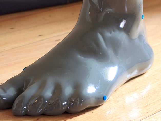 Human female left foot (added right foot)