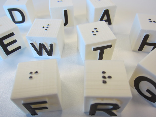 Braille and large print alphabet blocks