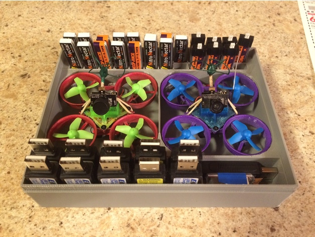2 Tiny Whoop / Inductrix Case