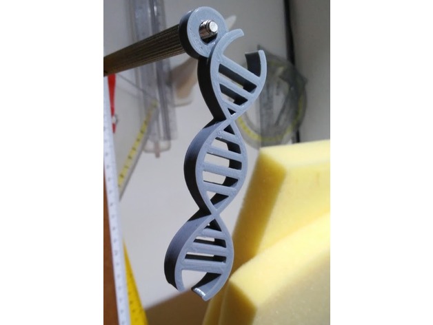 DNA keychain