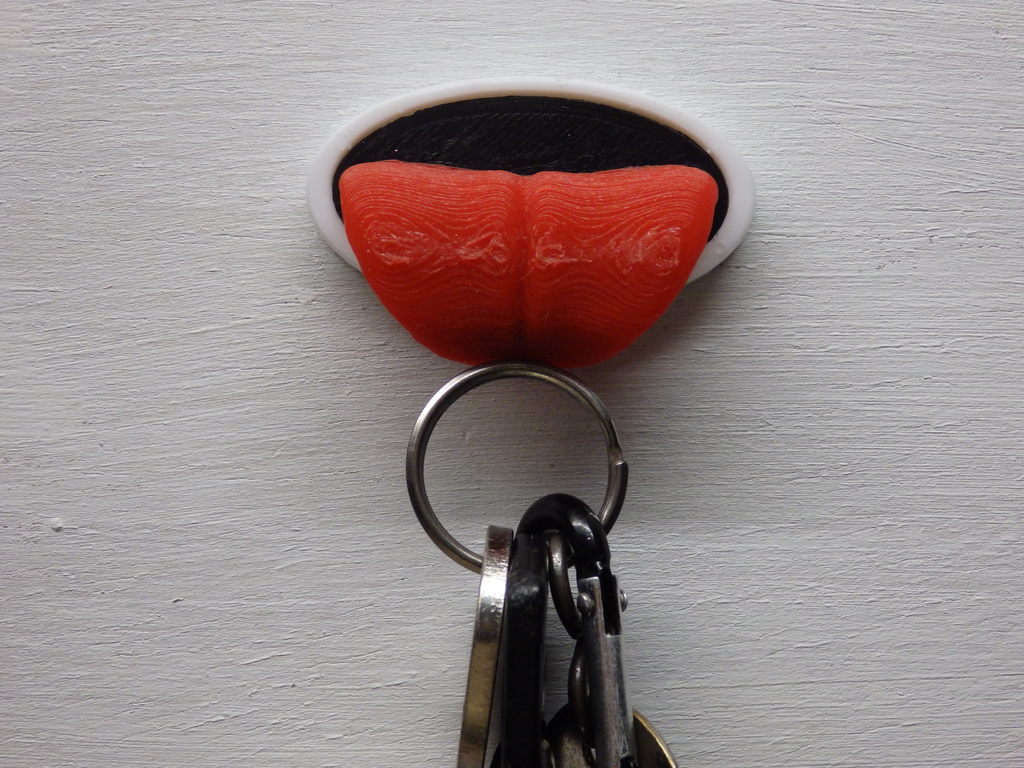 Magnetic keychain / Porte clefs magnétique