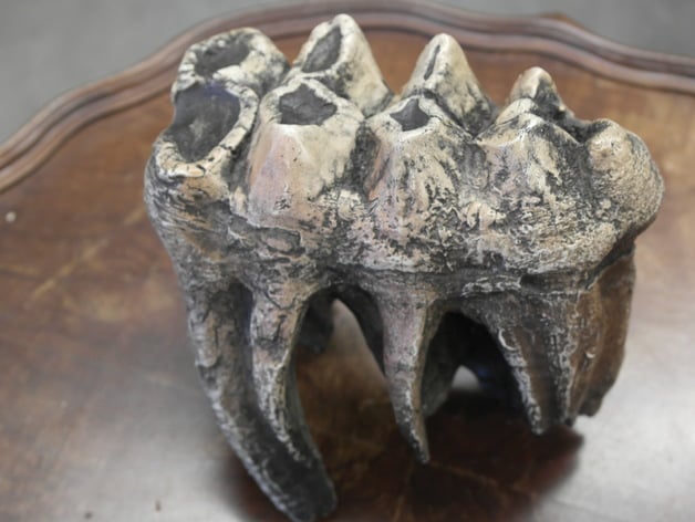 Mastodon tooth