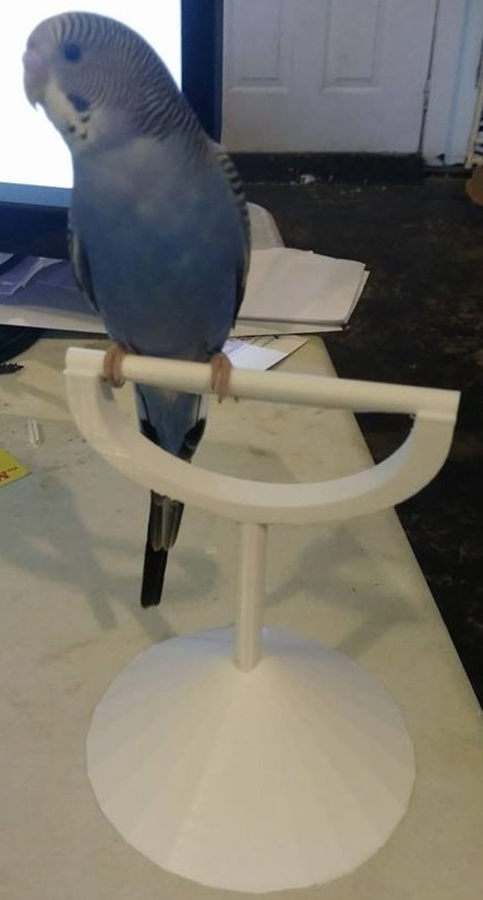 Desktop Perch for Birds