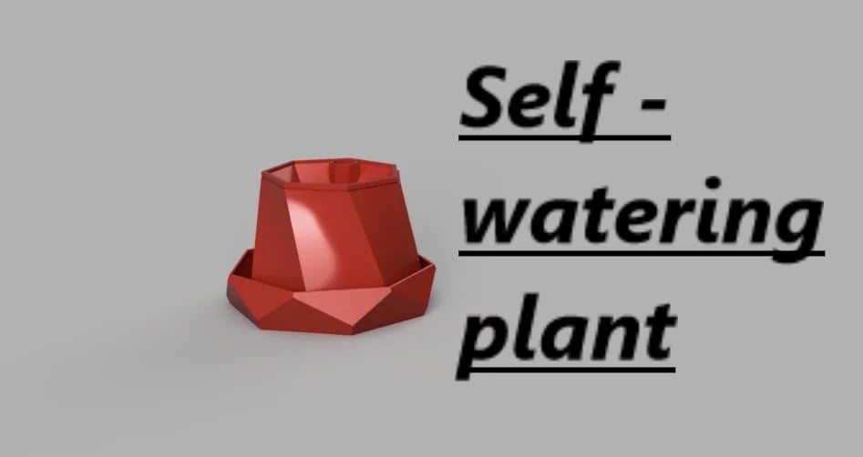 Self watering pot plant 