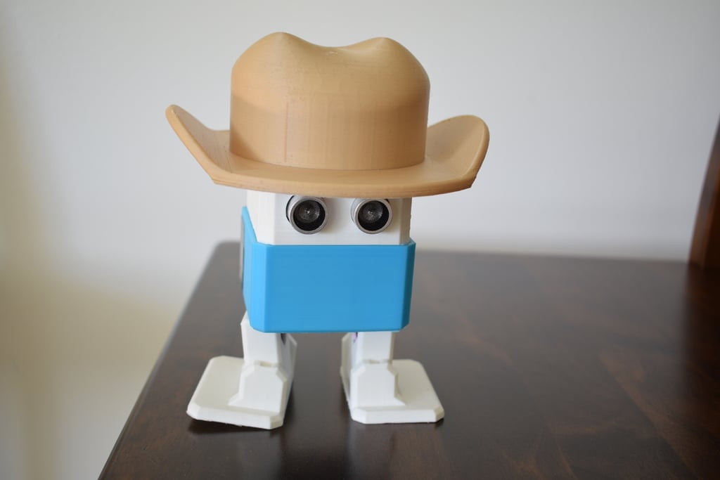Otto DIY Cowboy hat