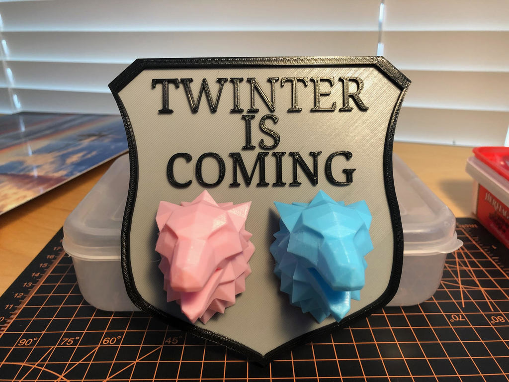 Twinter is Coming