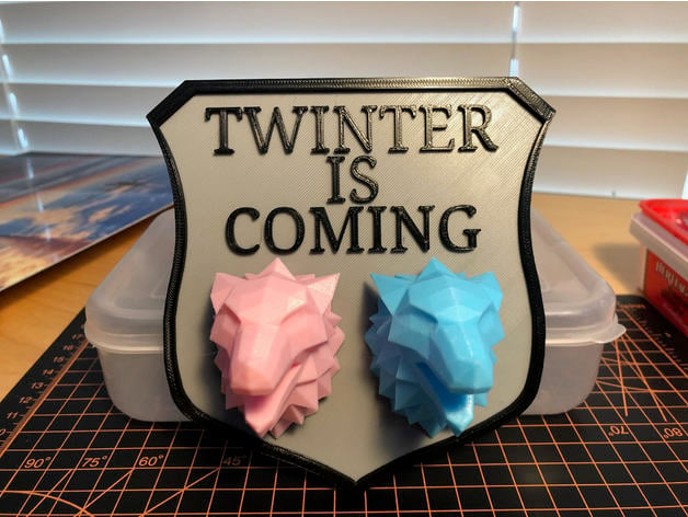 Twinter Is Coming