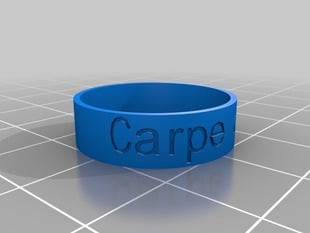 Carpe Diem -- Ring US size 10