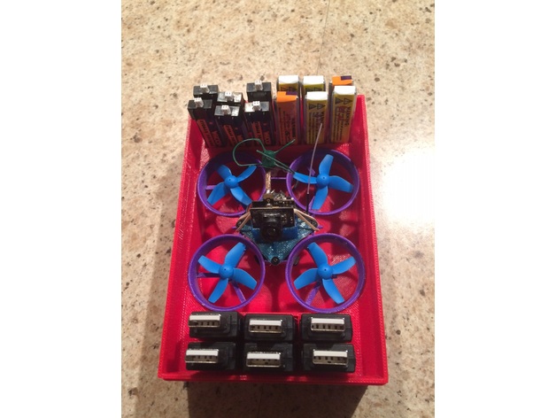 Inductrix/Tiny Whoop Case