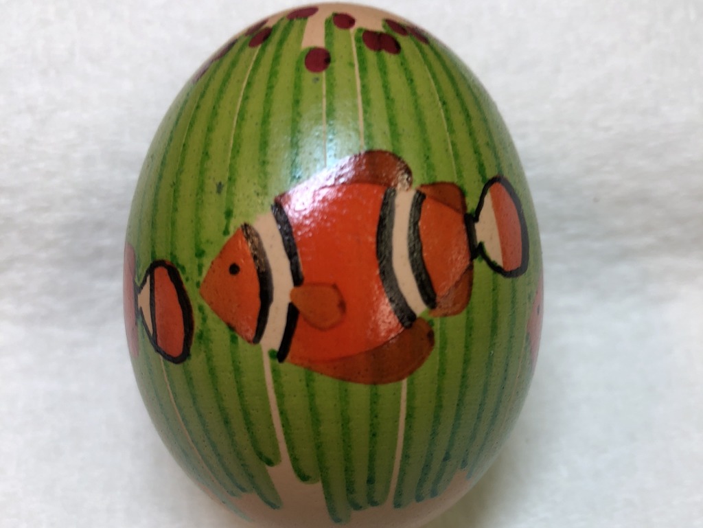 Clownfish Egg