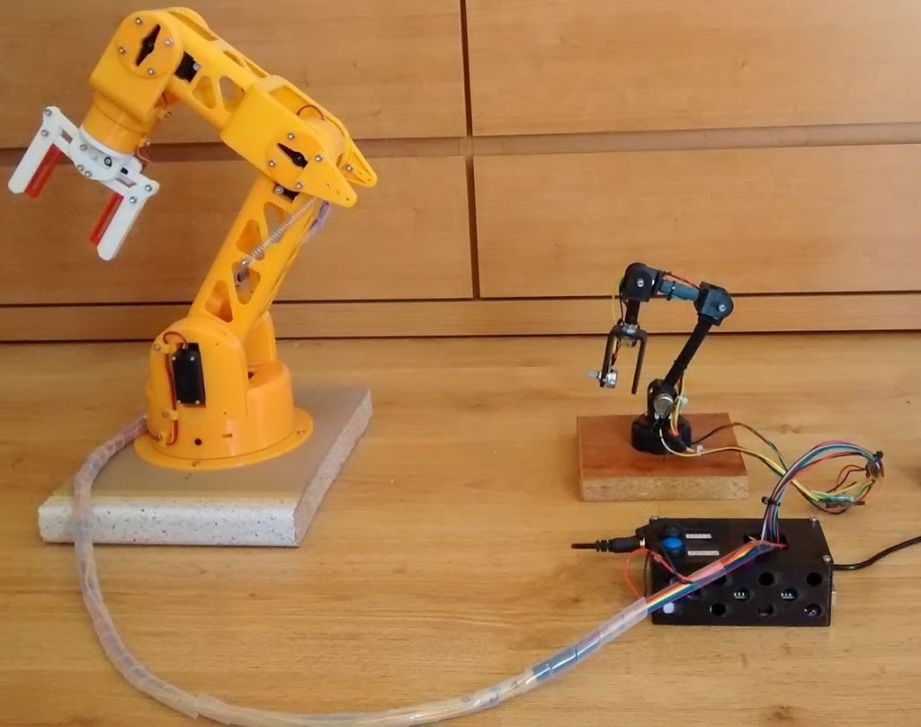 Robotic Arm with 5 degree of freedom printed in 3D