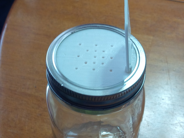 Mason-Jar Salt Shaker