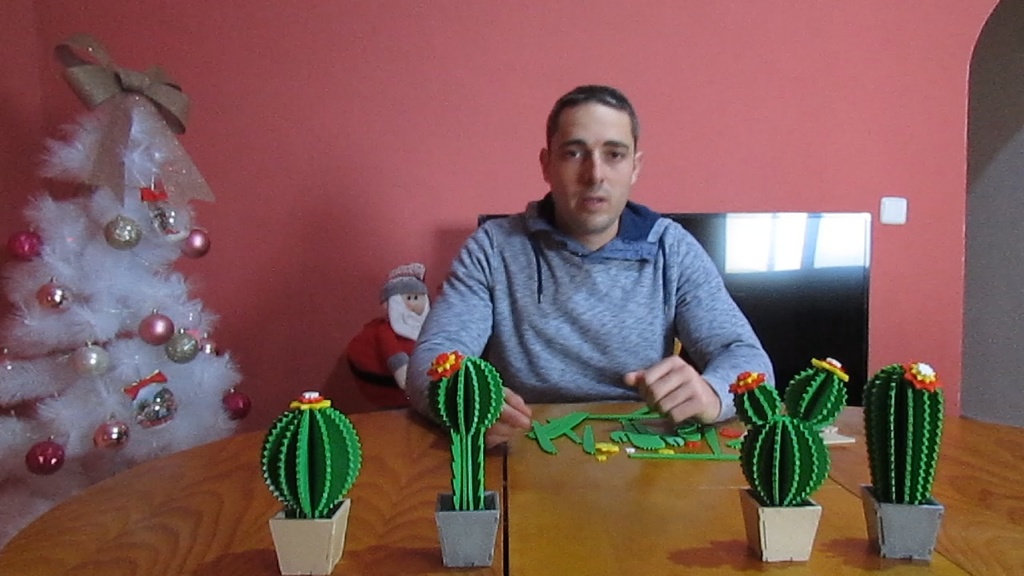 cactus 3d printed y lasercut cactus puzzle