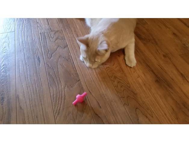 Cat Toy - Spinning Top