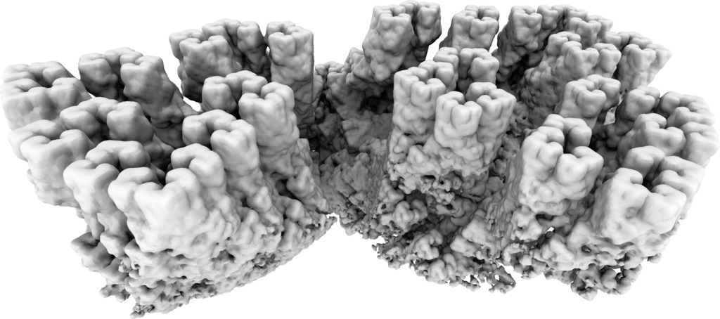 Fractal Cliffs