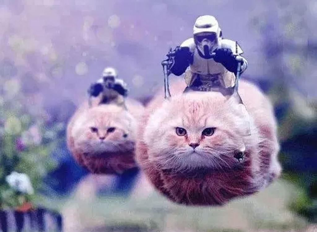 silly cat costume from fortnite star wars amazon