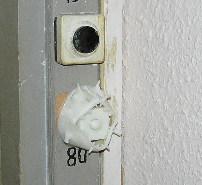 Bell button fish