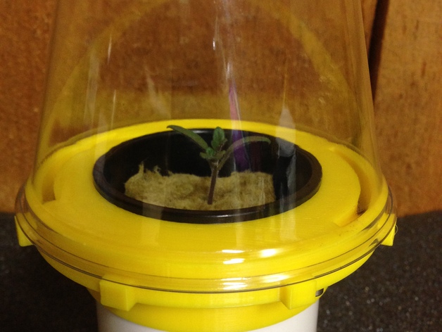 Seed starter for 2" net cup