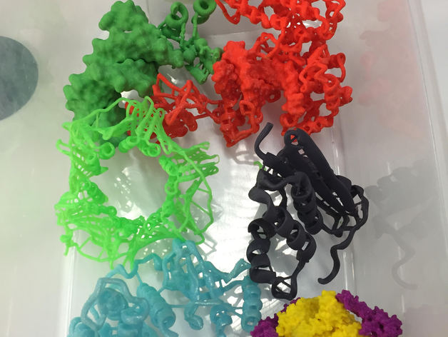 Eduardo’s Guide for 3D Printing Proteins with Chimera