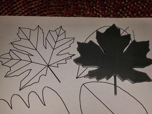 Leaf Stencils for drawing leaves.