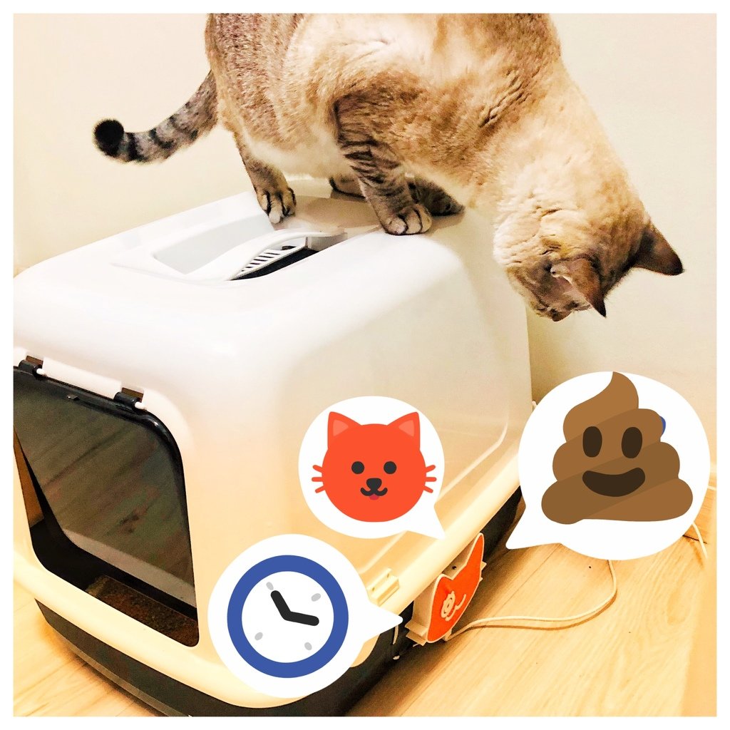 IoT Cat Litter Box