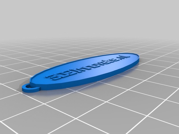 3D Oval Keychain