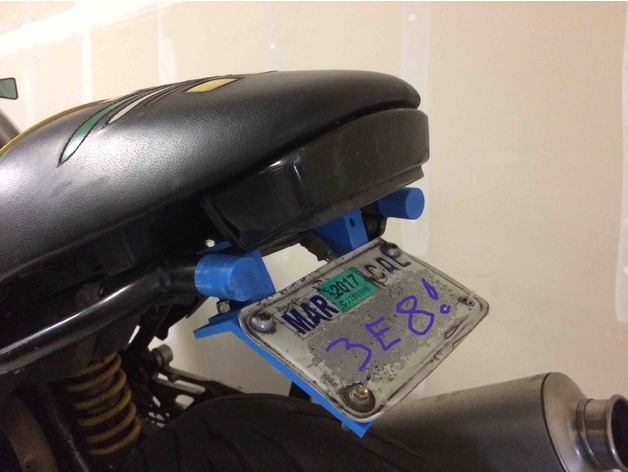 Ducati tail light and license plate mount