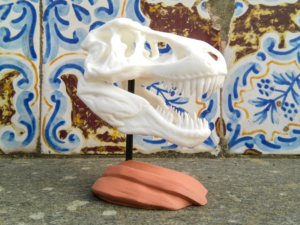 T-Rex Skull with Rock base