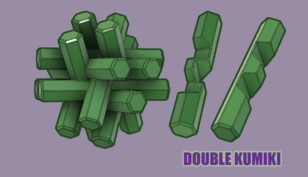 Double Kumiki Puzzle 