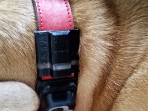 Fitbit Flex - Dog Collar Attachment