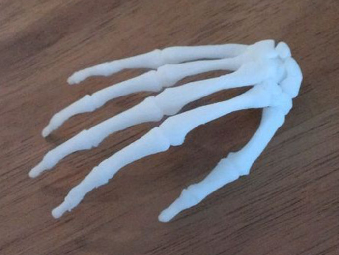 Bodyparts3D Hand Skeleton