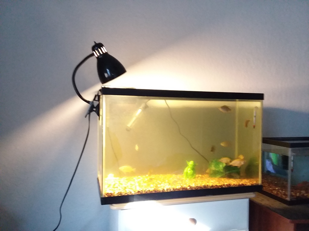 Aquarium Desk Lamp Adapter