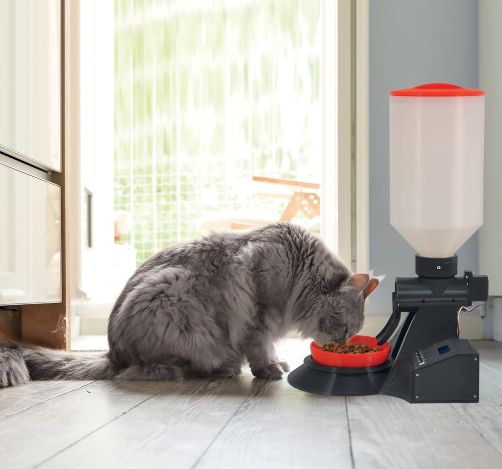 Automatic dispenser for cats
