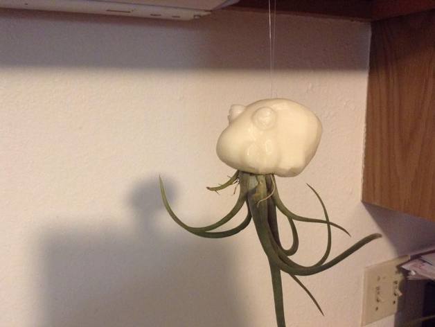 Hanging Air Plant Octopus
