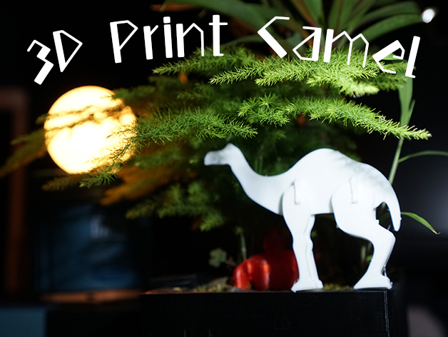 3D Print Camel Card
