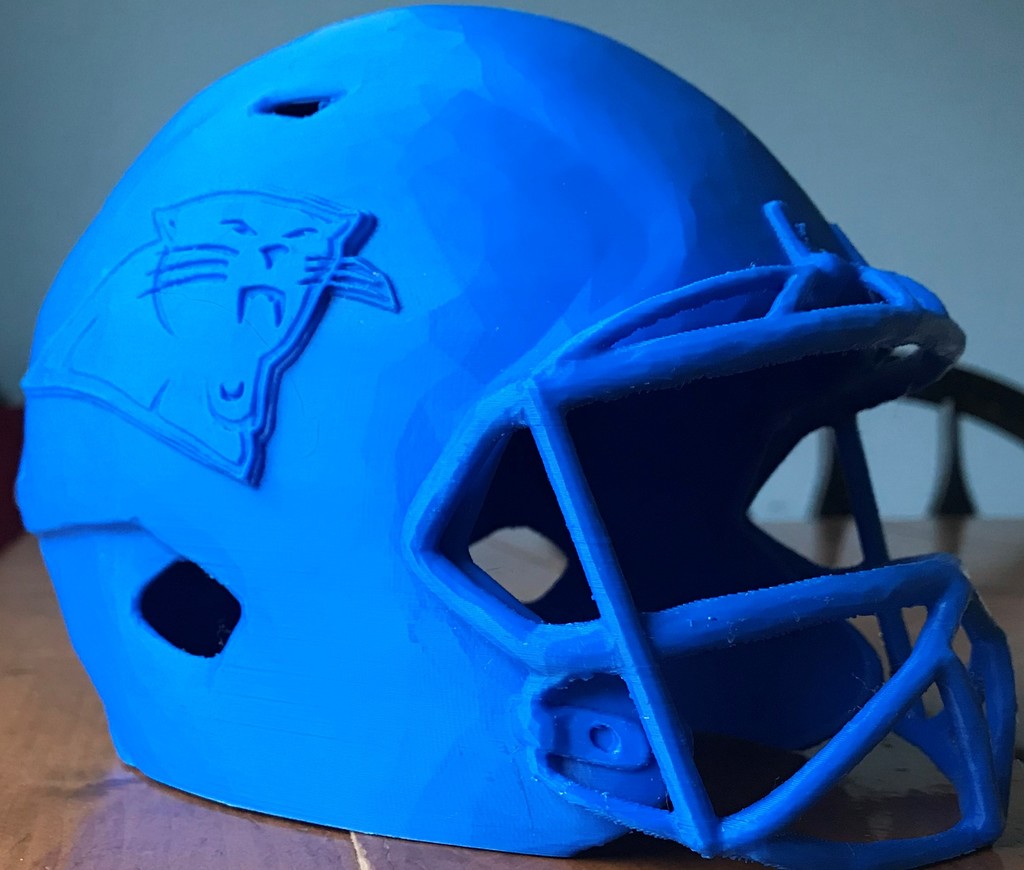 2019 NFL Cat Helmet (Unofficial)