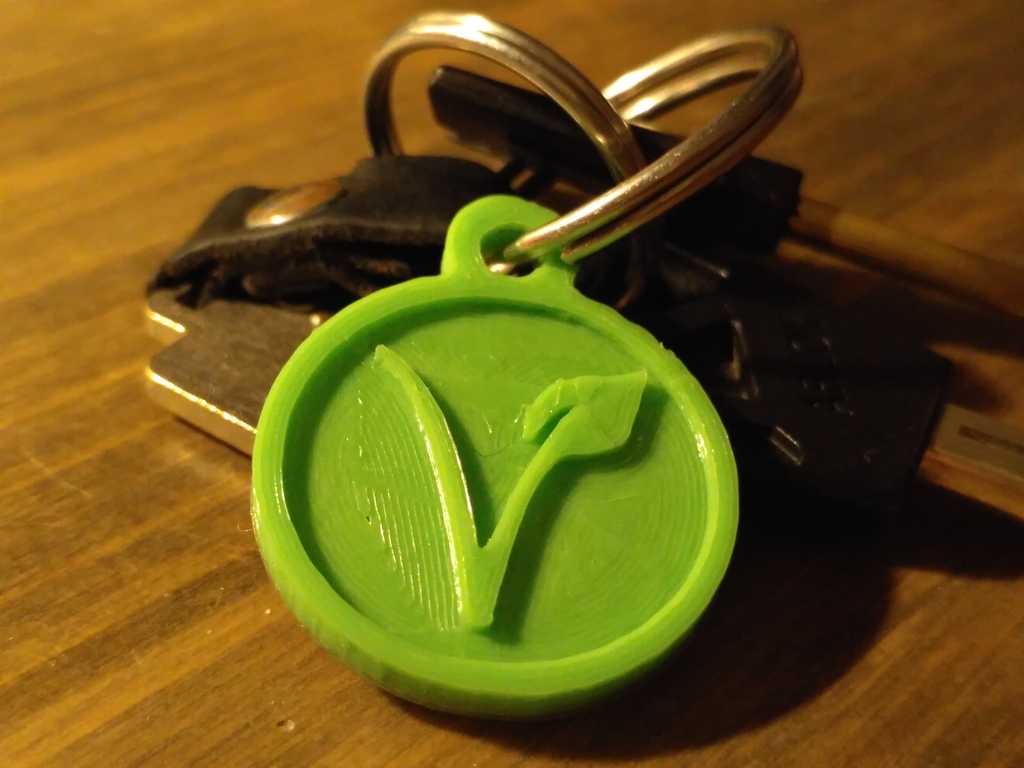 Vegan logo keychain