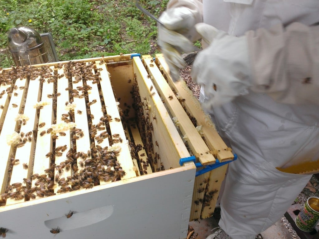 Beehive Frame Hook