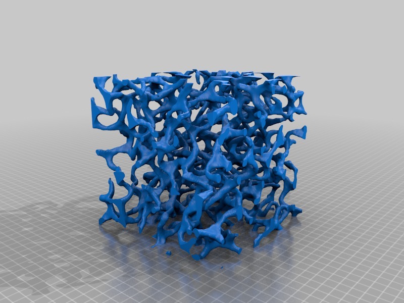 Auxetic Foam Cell Structure